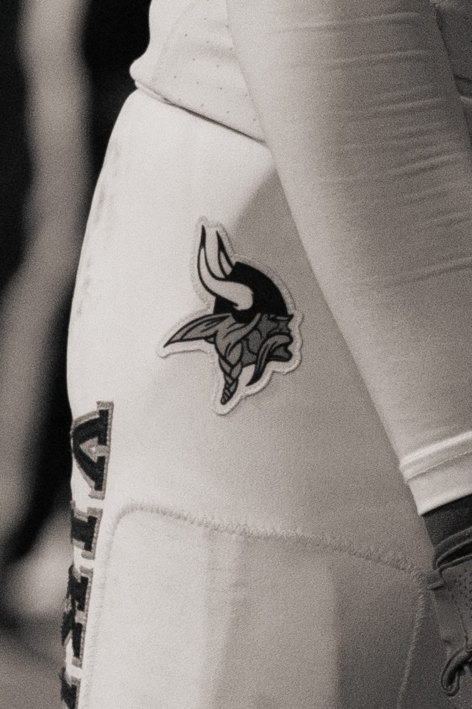 The Viking on the Sleeve