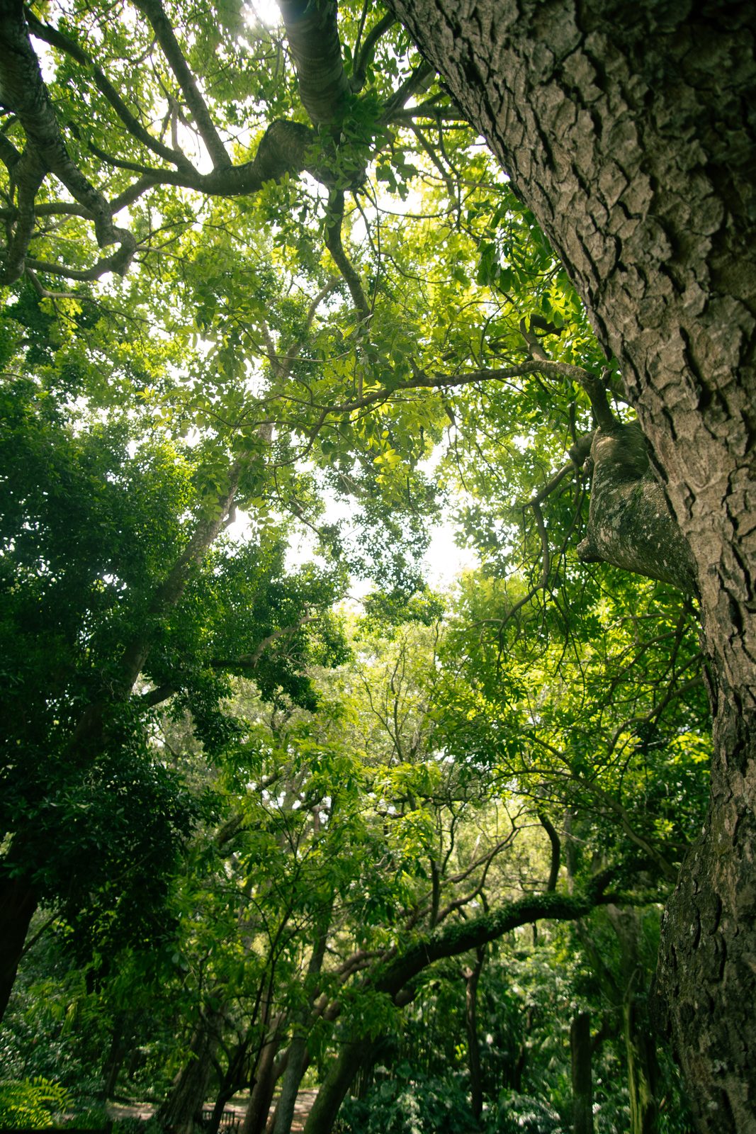 Photograph by MJ Pericles