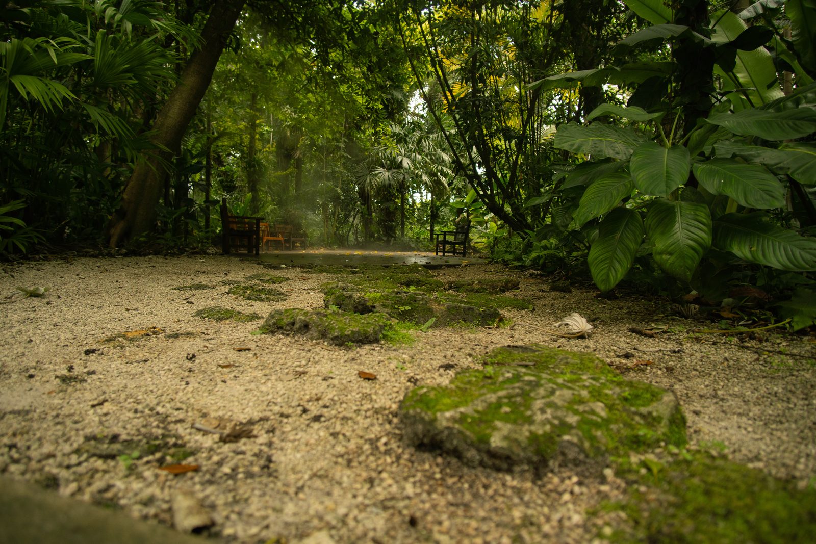 Photograph by MJ Pericles