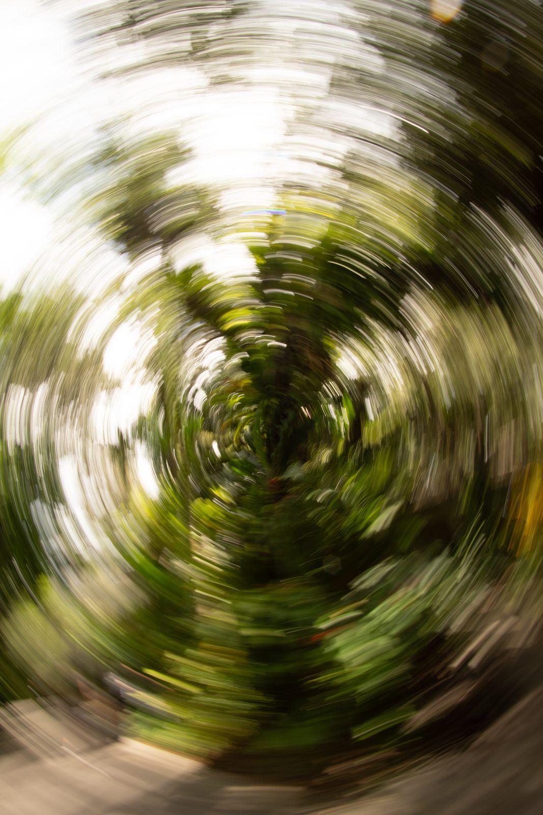 Photograph by MJ Pericles